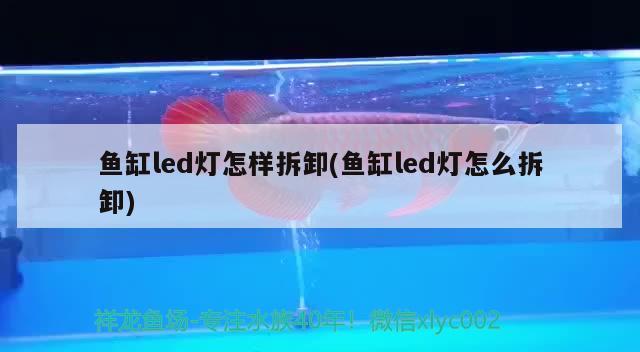 魚缸led燈怎樣拆卸(魚缸led燈怎么拆卸) 福滿鉆魚