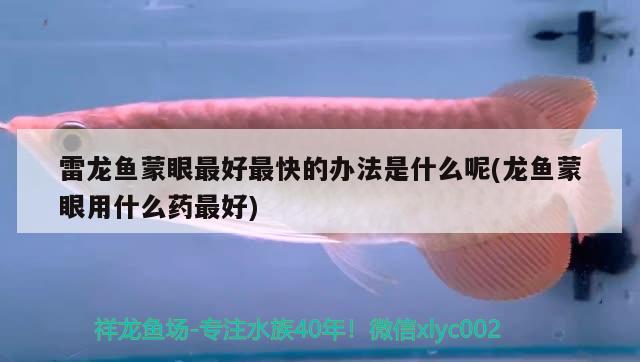 雷龍魚(yú)蒙眼最好最快的辦法是什么呢(龍魚(yú)蒙眼用什么藥最好)