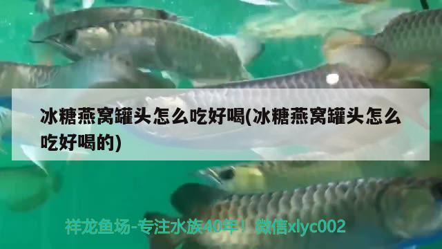 冰糖燕窩罐頭怎么吃好喝(冰糖燕窩罐頭怎么吃好喝的)