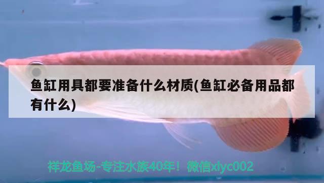 魚缸用具都要準(zhǔn)備什么材質(zhì)(魚缸必備用品都有什么) 泰國雪鯽魚 第2張