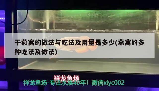 干燕窩的做法與吃法及用量是多少(燕窩的多種吃法及做法) 馬來西亞燕窩