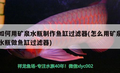 如何用礦泉水瓶制作魚缸過濾器(怎么用礦泉水瓶做魚缸過濾器)