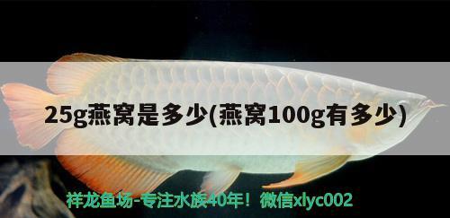 25g燕窩是多少(燕窩100g有多少)