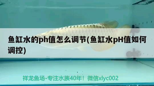 魚缸水的ph值怎么調(diào)節(jié)(魚缸水pH值如何調(diào)控) 水族雜談