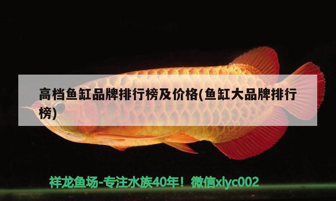 高檔魚缸品牌排行榜及價格(魚缸大品牌排行榜)