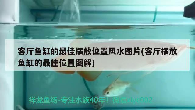 客廳魚缸的最佳擺放位置風(fēng)水圖片(客廳擺放魚缸的最佳位置圖解)