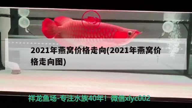 2021年燕窩價格走向(2021年燕窩價格走向圖) 馬來西亞燕窩