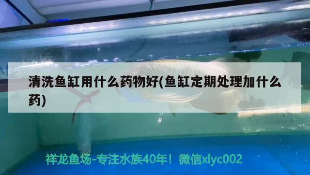 清洗魚缸用什么藥物好(魚缸定期處理加什么藥) 水族世界