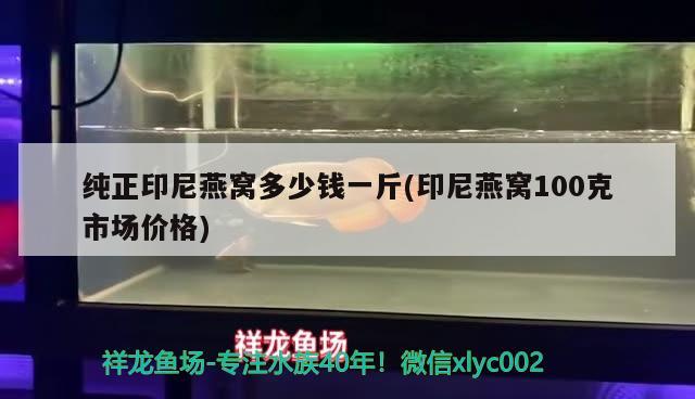 純正印尼燕窩多少錢一斤(印尼燕窩100克市場價格)