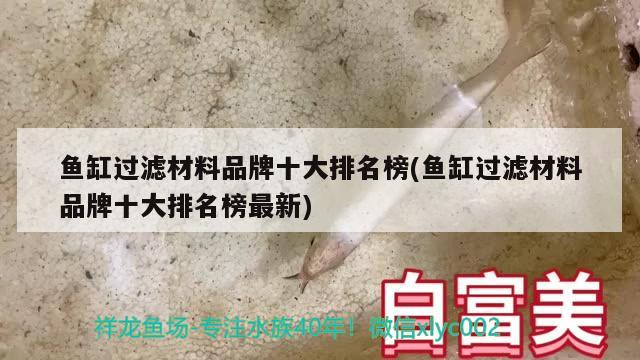 魚缸過濾材料品牌十大排名榜(魚缸過濾材料品牌十大排名榜最新)