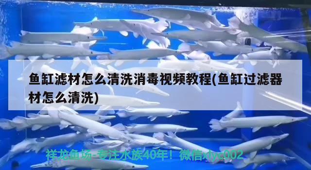 魚缸濾材怎么清洗消毒視頻教程(魚缸過濾器材怎么清洗)