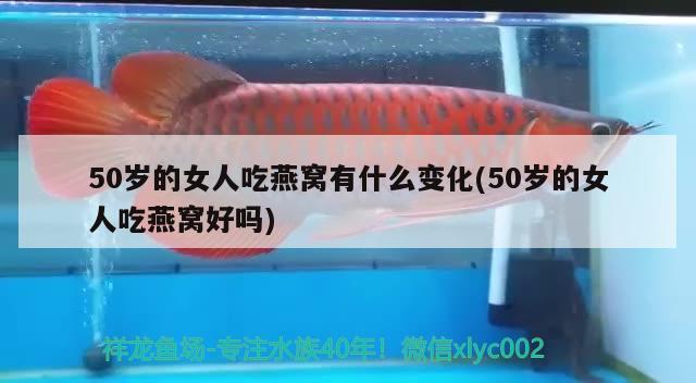 50歲的女人吃燕窩有什么變化(50歲的女人吃燕窩好嗎) 馬來(lái)西亞燕窩