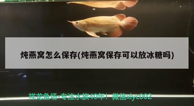 燉燕窩怎么保存(燉燕窩保存可以放冰糖嗎)