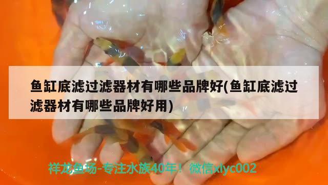 魚缸底濾過濾器材有哪些品牌好(魚缸底濾過濾器材有哪些品牌好用)