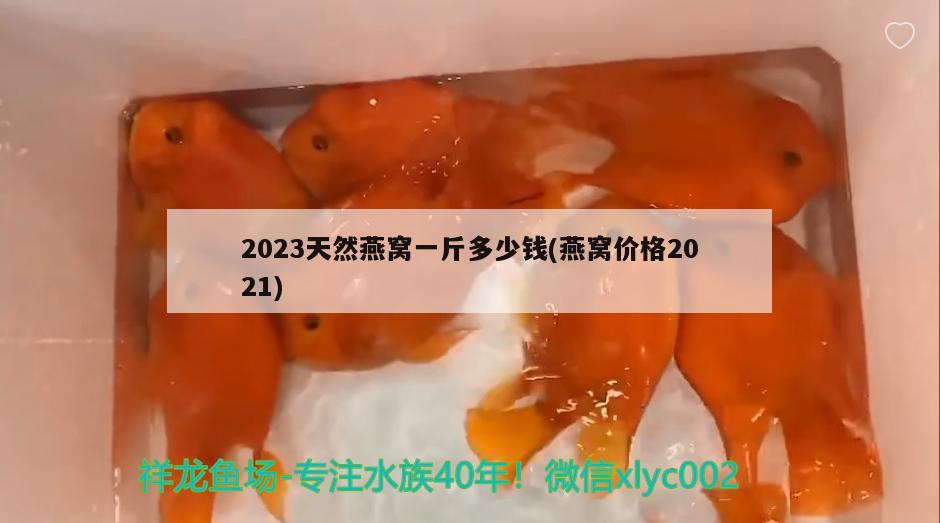 2023天然燕窩一斤多少錢(燕窩價(jià)格2021)