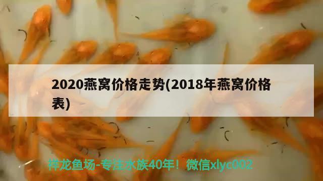 2020燕窩價格走勢(2018年燕窩價格表)