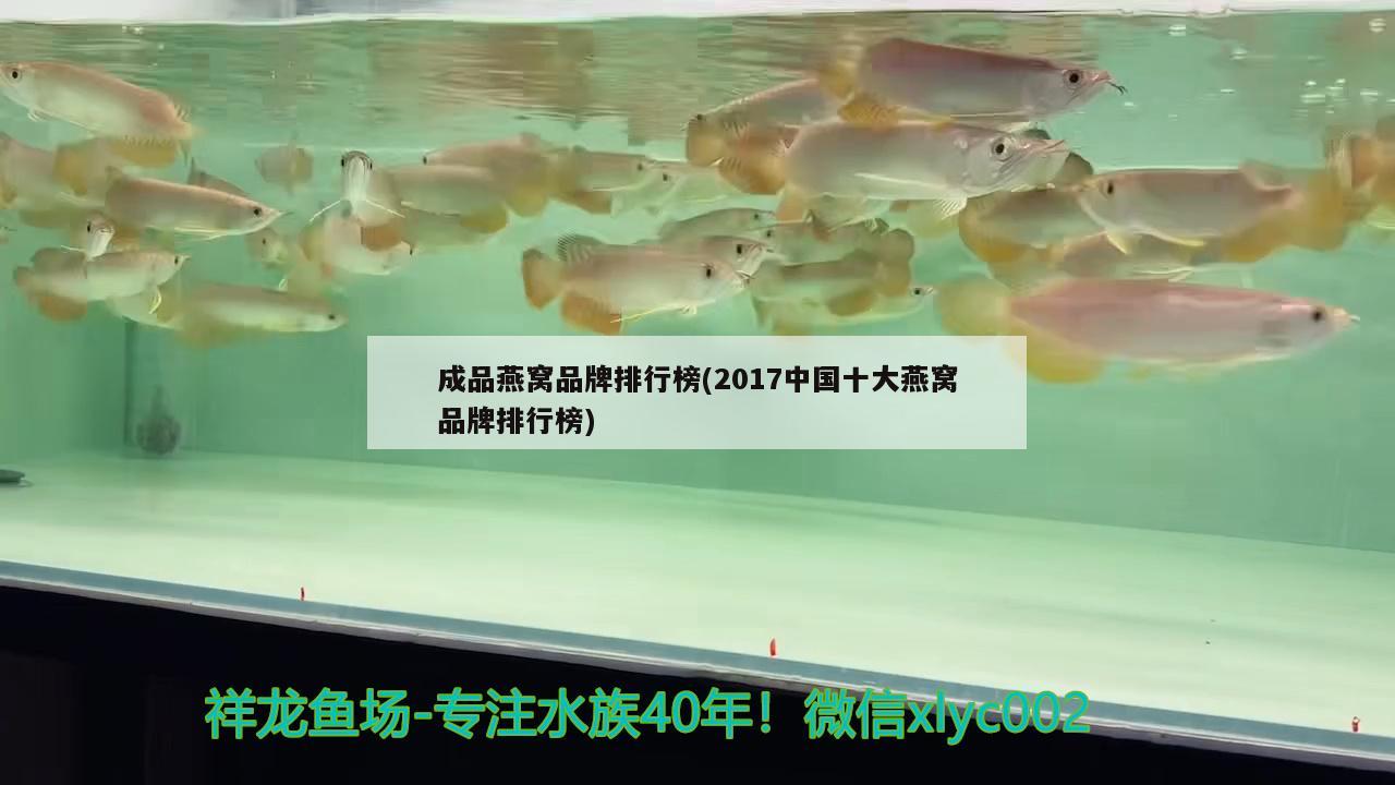 成品燕窩品牌排行榜(2017中國十大燕窩品牌排行榜) 馬來西亞燕窩