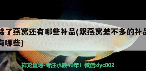 除了燕窩還有哪些補品(跟燕窩差不多的補品有哪些) 馬來西亞燕窩