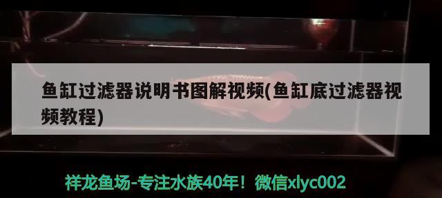 魚(yú)缸過(guò)濾器說(shuō)明書(shū)圖解視頻(魚(yú)缸底過(guò)濾器視頻教程) 青龍魚(yú)