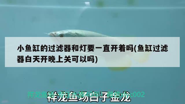 小魚缸的過濾器和燈要一直開著嗎(魚缸過濾器白天開晚上關(guān)可以嗎) 金龍魚糧