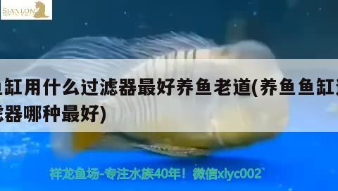 魚缸用什么過濾器最好養(yǎng)魚老道(養(yǎng)魚魚缸過濾器哪種最好)