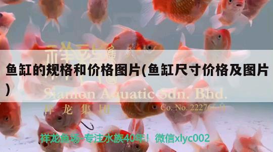 魚缸的規(guī)格和價格圖片(魚缸尺寸價格及圖片)