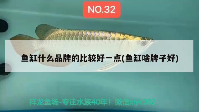 魚缸什么品牌的比較好一點(魚缸啥牌子好) 暹羅巨鯉