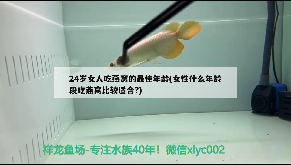 24歲女人吃燕窩的最佳年齡(女性什么年齡段吃燕窩比較適合?) 馬來西亞燕窩