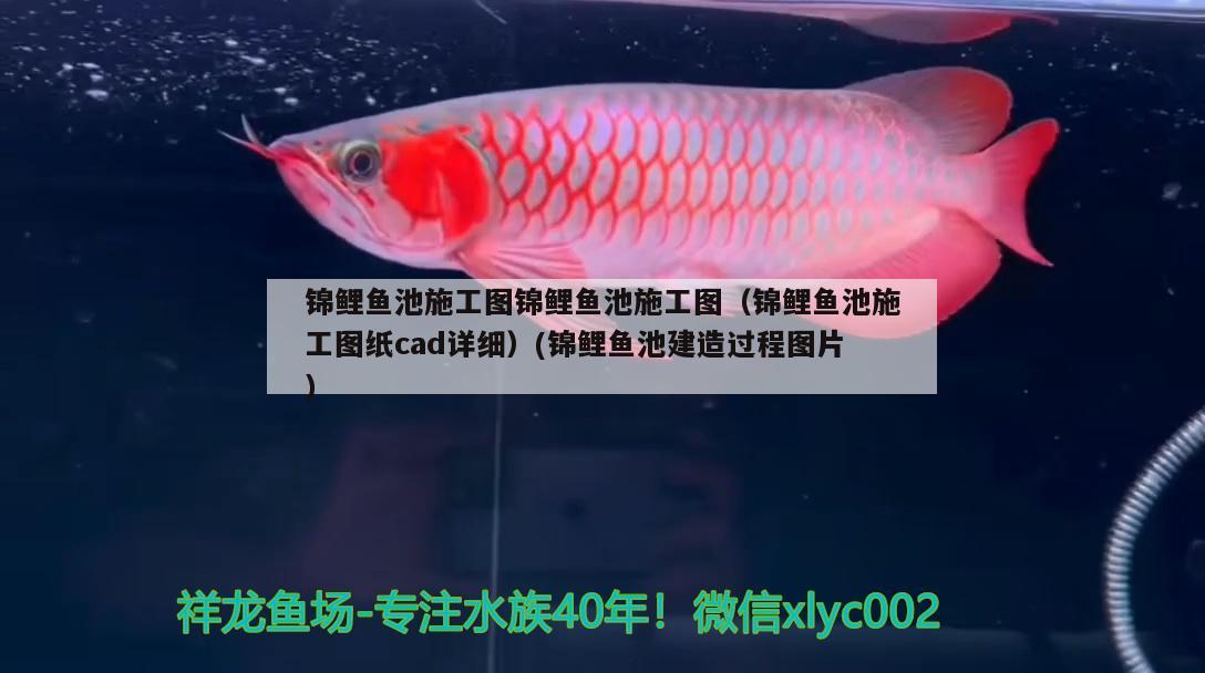 錦鯉魚池施工圖錦鯉魚池施工圖（錦鯉魚池施工圖紙cad詳細(xì)）(錦鯉魚池建造過程圖片) 細(xì)線銀版魚