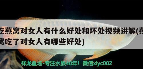 吃燕窩對女人有什么好處和壞處視頻講解(燕窩吃了對女人有哪些好處) 馬來西亞燕窩