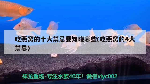 吃燕窩的十大禁忌要知曉哪些(吃燕窩的4大禁忌)