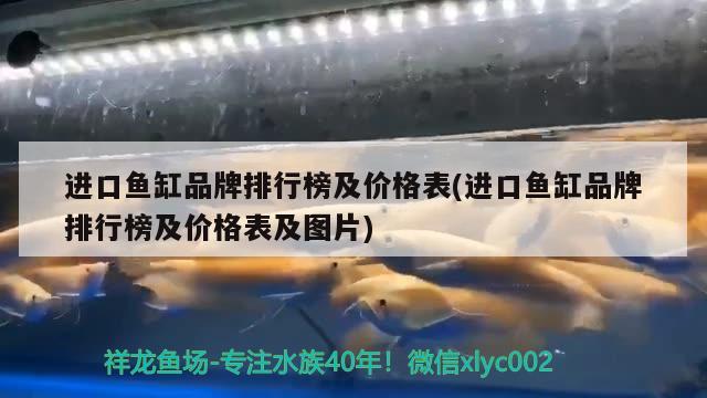 進(jìn)口魚缸品牌排行榜及價格表(進(jìn)口魚缸品牌排行榜及價格表及圖片) 黃金貓魚百科