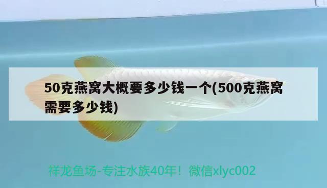 50克燕窩大概要多少錢一個(gè)(500克燕窩需要多少錢)