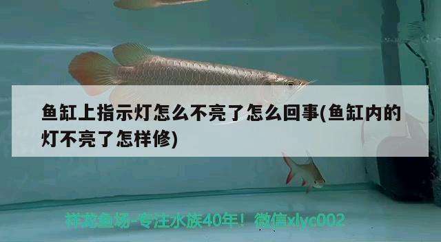 魚缸上指示燈怎么不亮了怎么回事(魚缸內(nèi)的燈不亮了怎樣修) 觀賞魚飼料