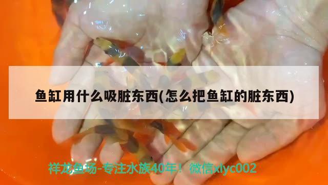 魚缸用什么吸臟東西(怎么把魚缸的臟東西)