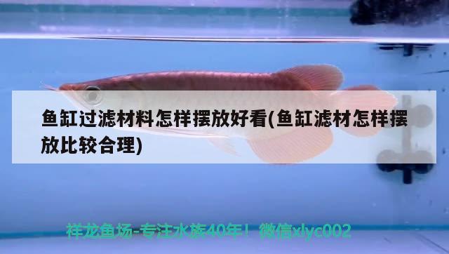 魚缸過濾材料怎樣擺放好看(魚缸濾材怎樣擺放比較合理) 超血紅龍魚