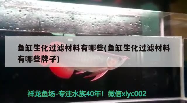 魚缸生化過濾材料有哪些(魚缸生化過濾材料有哪些牌子) 黃金鴨嘴魚