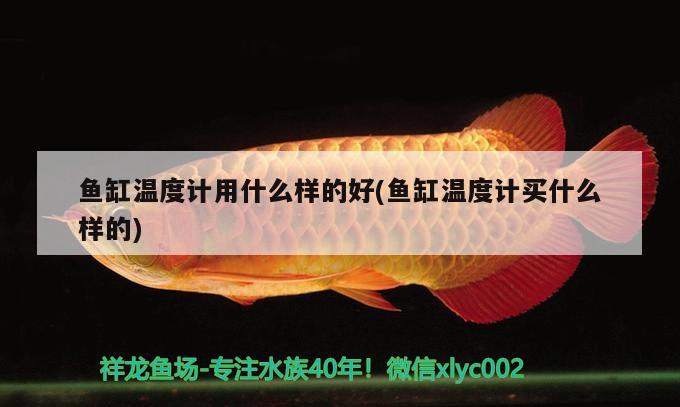 魚(yú)缸溫度計(jì)用什么樣的好(魚(yú)缸溫度計(jì)買(mǎi)什么樣的) 巴卡雷龍魚(yú)