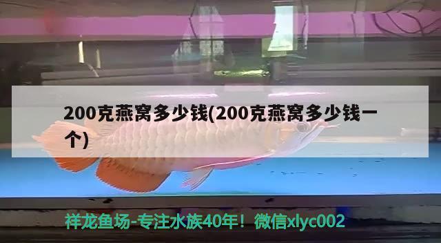 200克燕窩多少錢(200克燕窩多少錢一個(gè)) 馬來(lái)西亞燕窩