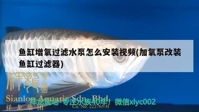 魚缸增氧過濾水泵怎么安裝視頻(加氧泵改裝魚缸過濾器) 巨骨舌魚