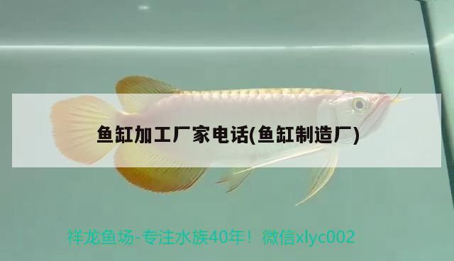 魚缸加工廠家電話(魚缸制造廠)