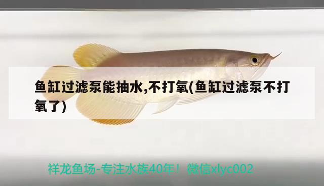 魚缸過濾泵能抽水,不打氧(魚缸過濾泵不打氧了)