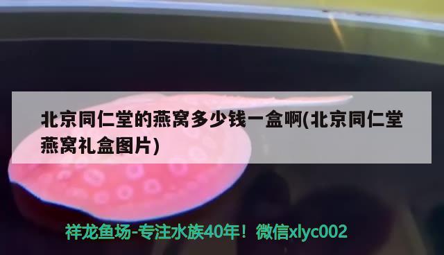 北京同仁堂的燕窩多少錢一盒啊(北京同仁堂燕窩禮盒圖片) 馬來西亞燕窩