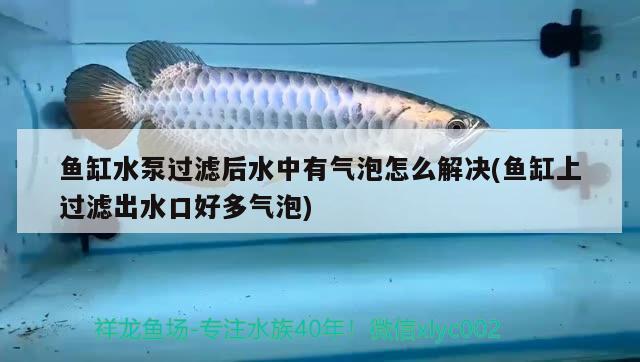 魚缸水泵過(guò)濾后水中有氣泡怎么解決(魚缸上過(guò)濾出水口好多氣泡) 魚缸水泵