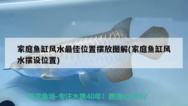 家庭魚缸風(fēng)水最佳位置擺放圖解(家庭魚缸風(fēng)水?dāng)[設(shè)位置)