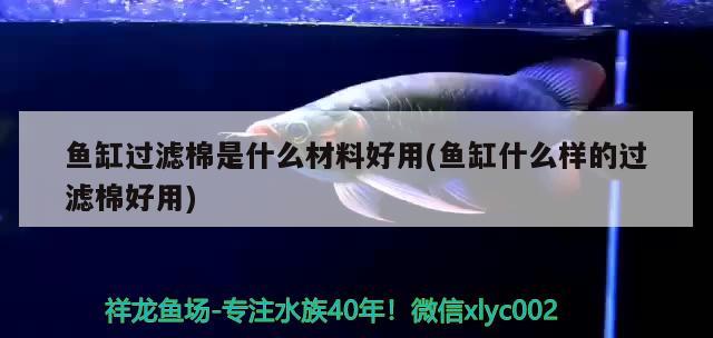 魚缸過濾棉是什么材料好用(魚缸什么樣的過濾棉好用)