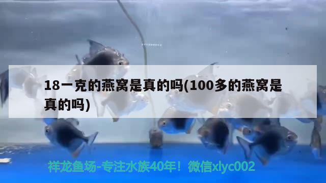 18一克的燕窩是真的嗎(100多的燕窩是真的嗎)