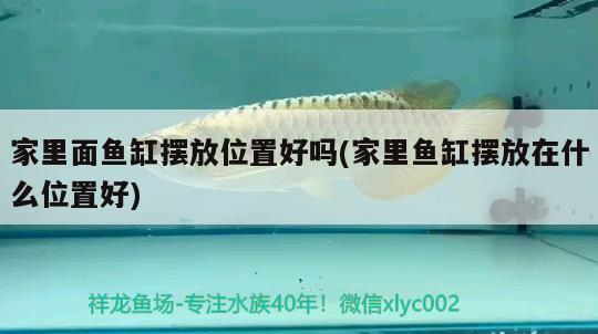 家里面魚缸擺放位置好嗎(家里魚缸擺放在什么位置好)