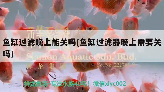 魚缸過濾晚上能關(guān)嗎(魚缸過濾器晚上需要關(guān)嗎)