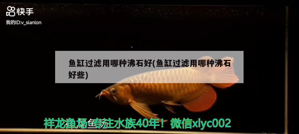 魚缸過濾用哪種沸石好(魚缸過濾用哪種沸石好些)